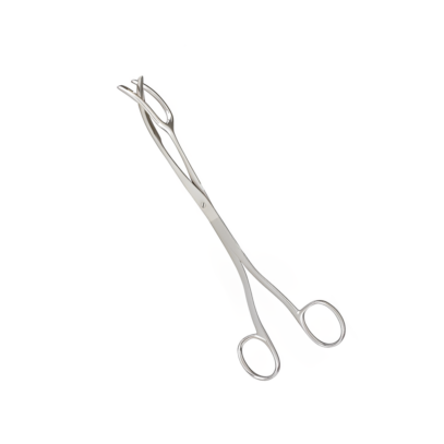 Sterilizing Forcep Size 8